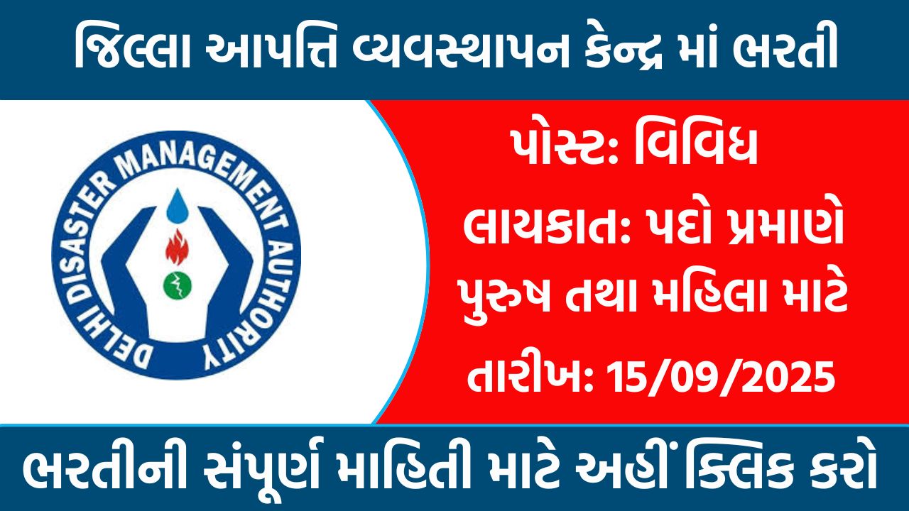 DDMC Recruitment 2025